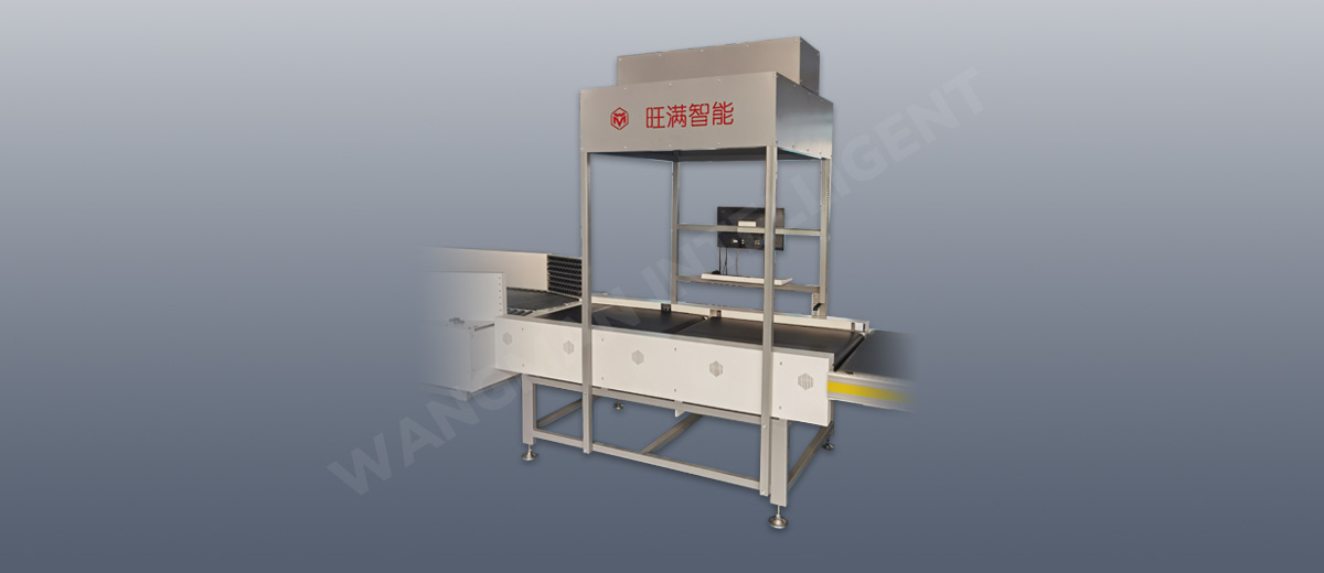 動態(tài)掃碼稱重測量機